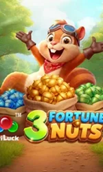3 Fortune Nuts